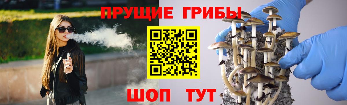 Барабинск  Галлюциногенные грибы мицелий  Галлюциногенные грибы ЛСД  Вход с VPN 